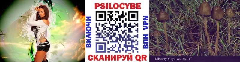 хочу наркоту  Зеленогорск  Галлюциногенные грибы Cubensis 